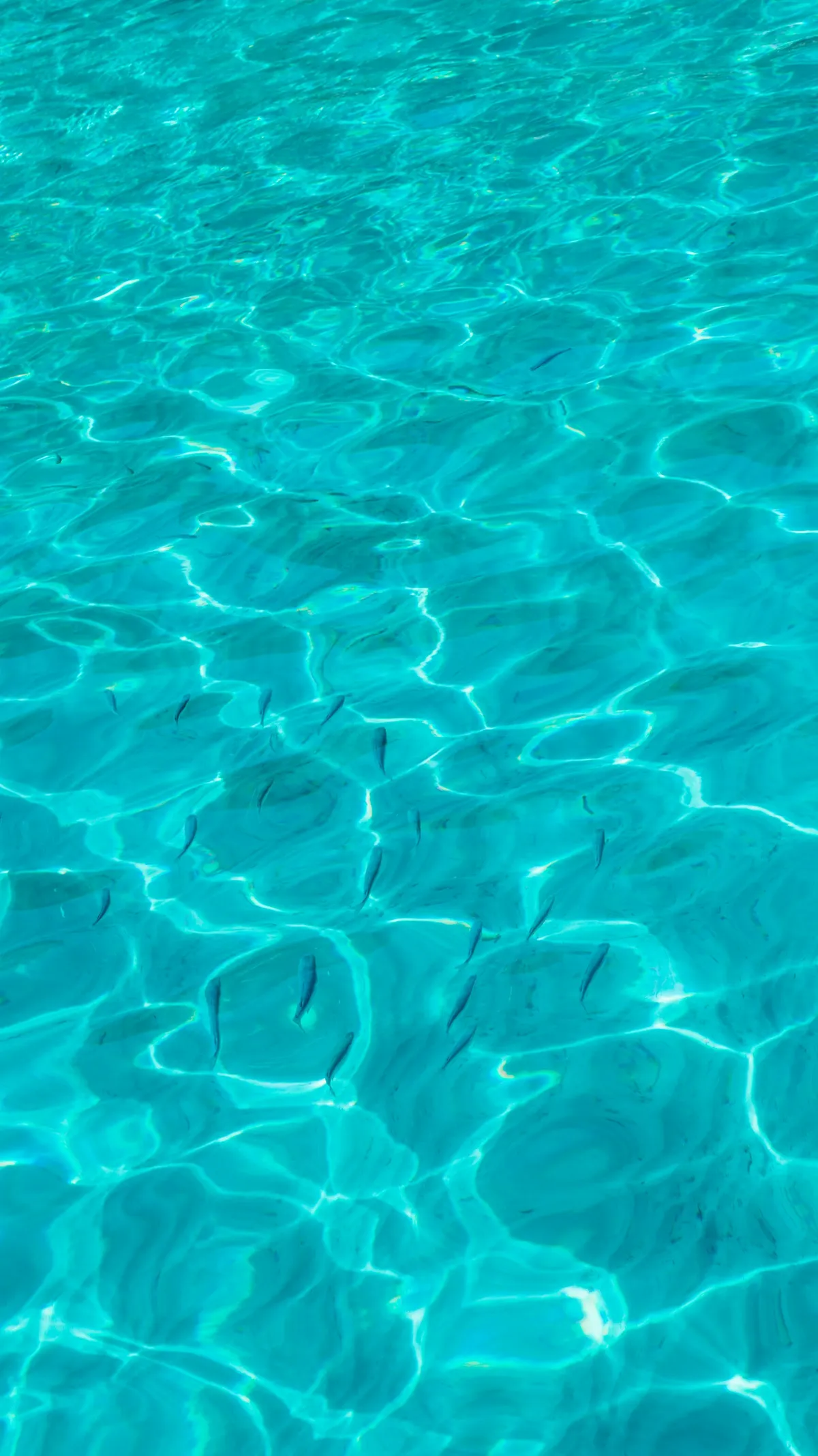 After: Off-season pool back to swim-ready